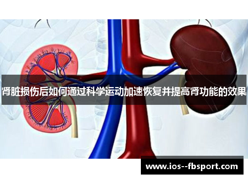 肾脏损伤后如何通过科学运动加速恢复并提高肾功能的效果