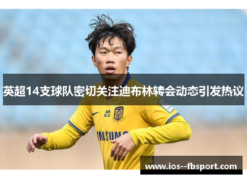 英超14支球队密切关注迪布林转会动态引发热议 英超14支球队密切关注迪布林转会动态引发热议