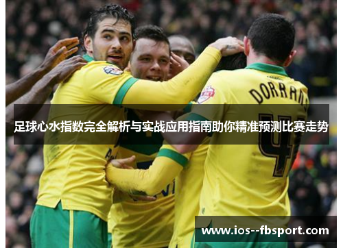 足球心水指数完全解析与实战应用指南助你精准预测比赛走势