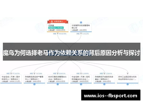 魔鸟为何选择老马作为依赖关系的背后原因分析与探讨