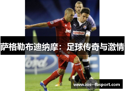 萨格勒布迪纳摩:足球传奇与激情 萨格勒布迪纳摩:足球传奇与激情