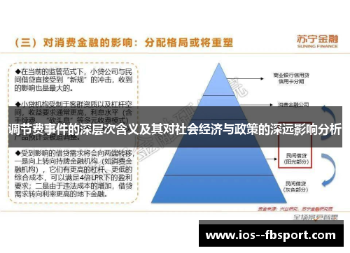 调节费事件的深层次含义及其对社会经济与政策的深远影响分析