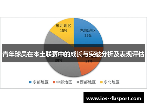 青年球员在本土联赛中的成长与突破分析及表现评估